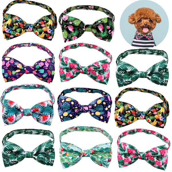 Cartone animato Animali domestici Piccolo papillon Abbigliamento per cani Vento tropicale Frutta Cactus Frutta Cani Gatto Cravatta Ornamento per animali Cravatte Accessori 2 9lc Y2