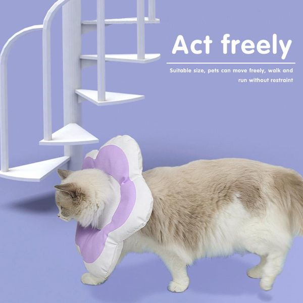 

cat collars & leads dogs protective neck recovery cone adjustable cotton blends recover collar waterproof elizabeth circle