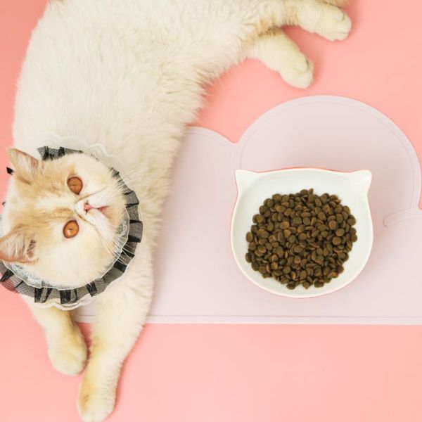 

cute silicone cloud pet feeding mat waterproof dog cat pad mats dogs cats feeder dish placemat pets cleaning bowls & feeders