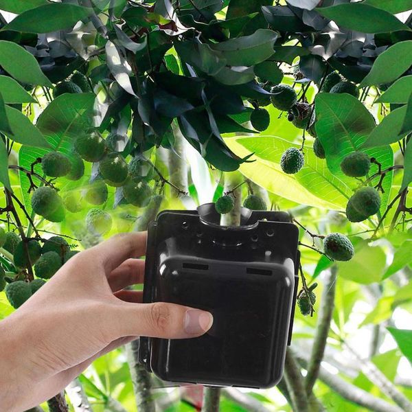 

planters & pots high pressure grafting ball plant rooting box propagation device easily carrying part eco-friendly tool