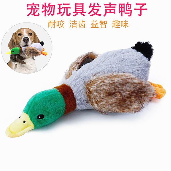 

large relief artifact in dog toys