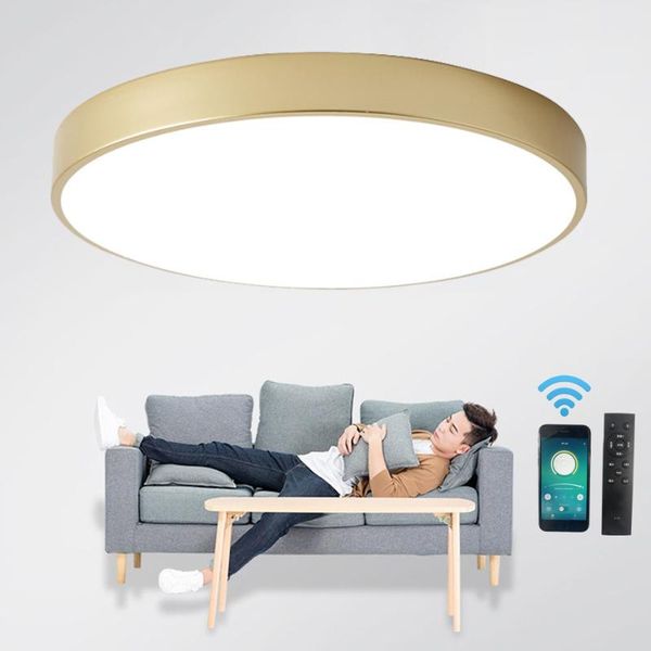 

ceiling lights ultra-thin 5cm gold led light modern round surface mount flush panel lamp remote control for foyer bedroom