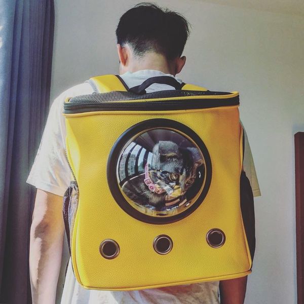 

dog car seat covers backpack window transparent cat carrying bag large pet trasportino cane jj60gxd