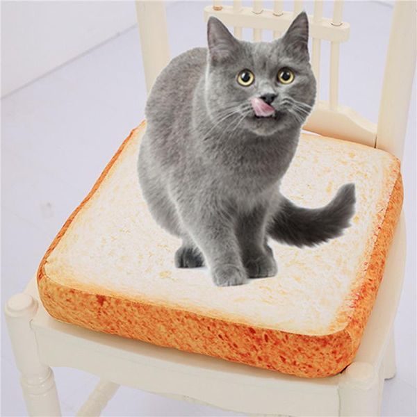 

cat beds & furniture microblogging with the paragraph cute real life toast bread slices cushions, special bread-type cushion cartoon around