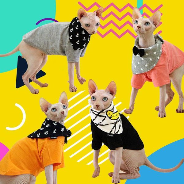 

cat costumes clothes