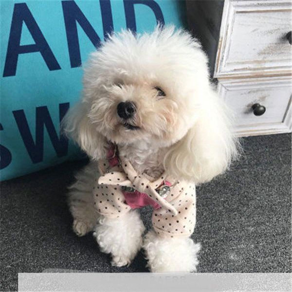 

gmq blue pink yellow bib pants dog clothes for luxury winter jacket jeans costume apparel