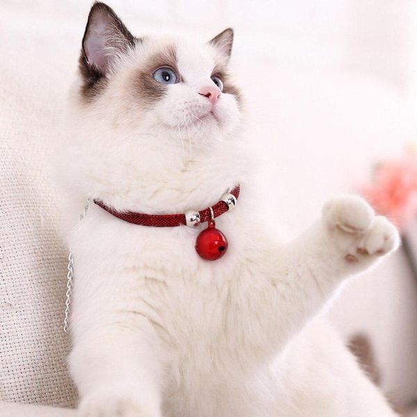 

cat collars & leads adjustable metal collar with cute bell for small pet dog supplies