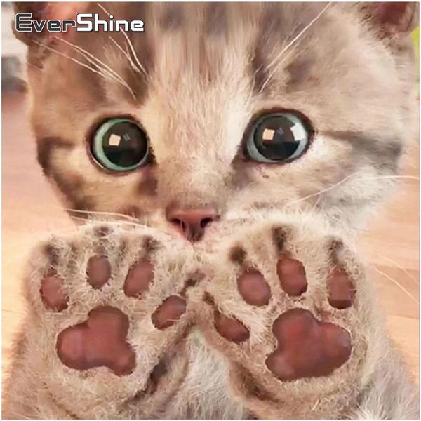 

diamond painting evershine animal picture rhinestones mosaic cat cross stitch bead embroidery decor for home needlework