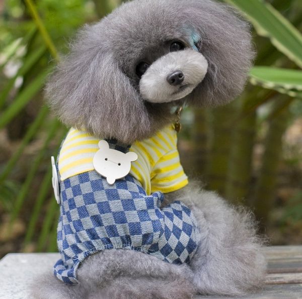 

strap broken pants stripe pet summer clothes
