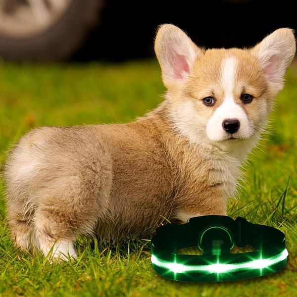 

fashion nylon led pet dog collar night safety flashing glow in the dark leash,dogs luminous fluorescent collars supplies & leashes