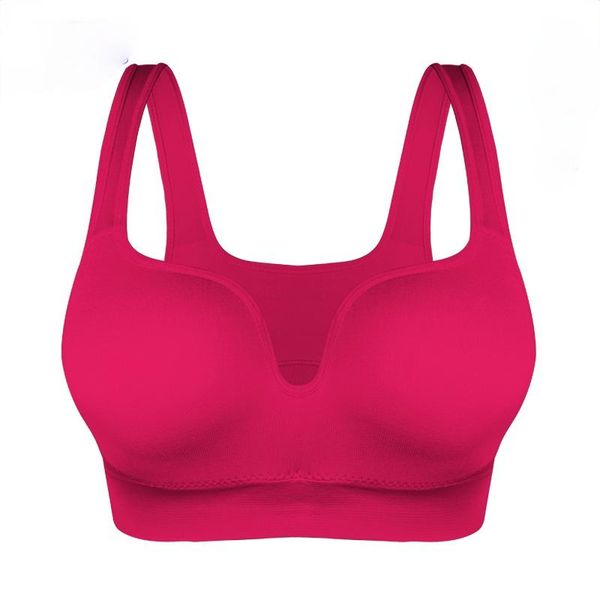 

yoga bra ladies sports fitness running vest underwear thickening crop short push chest women's gym outfit