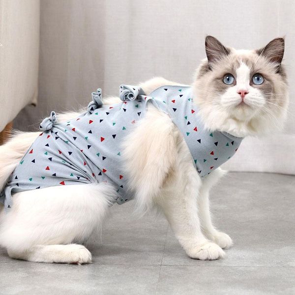 

pet cat grown suit weaning anti-licking elastic cotton clothes costumes