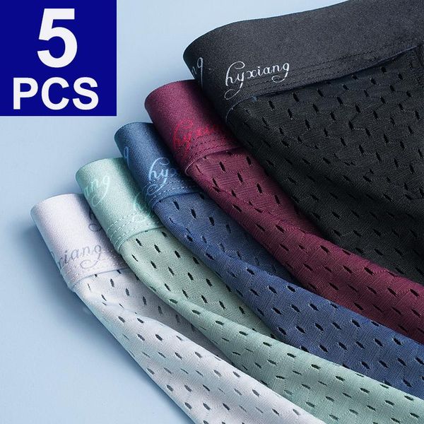 

underpants 5pcs/lot mesh plus size underwear men boxers hombre boxershorts gay boxer shorts para, Black;white