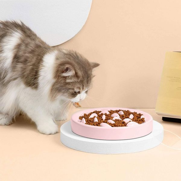 

quality dog bowl slow feeder durable eco-friendly nonslip slow feeding pet bowl for small medium large dogs puppy eating