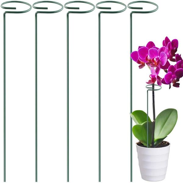 

other garden supplies plant support stakes, single stem stake cage rings for amaryllis tomatoes orchid lily peony