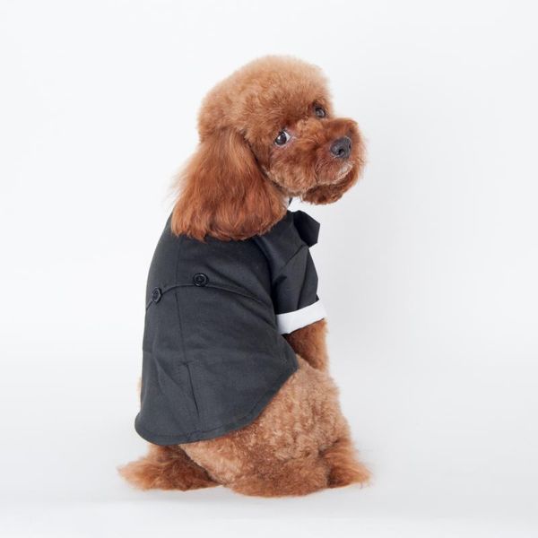 

dog apparel fast pet clothes wedding dress gentleman kw604056