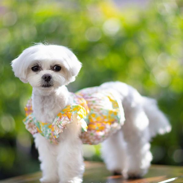 

summer dog soft dress pet clothes for small party birthday wedding bowknot puppy costume spring apparel