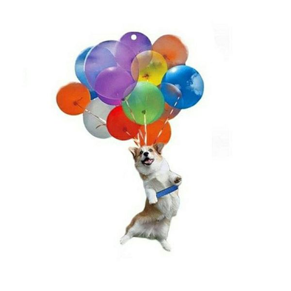 

cat/dog/cattle decoration pendants car interior colorful balloon cat ornaments home door hanging decorations crafts
