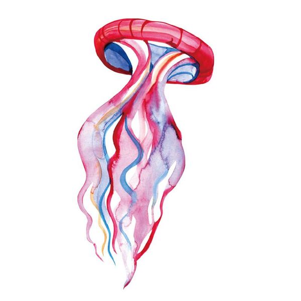 

temporary tattoos watercolor jellyfish tattoo sticker waterproof cartoon kids children party favor decorations arm body art 10.5x6cm