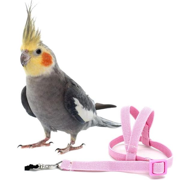 

other bird supplies anti-bite flying training rope parrot pet leash kits ultralight harness soft portable playthings