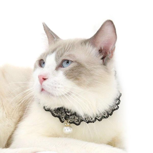 

cat collars & leads adjustable buckle collar pet kitten puppy pearl pendant nylon choker necklace suitable neck girth 22cm-32cm