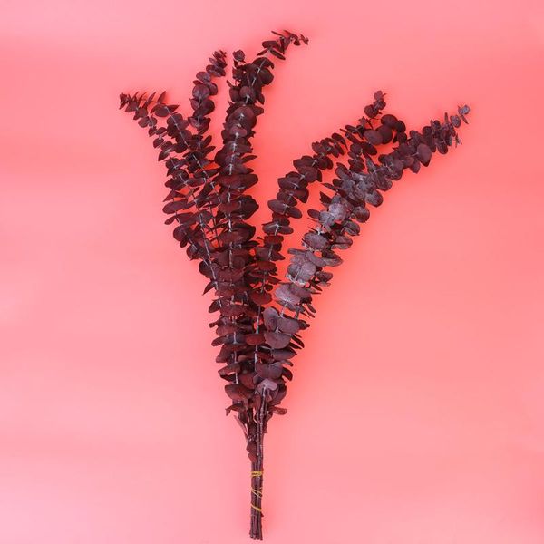 

decorative flowers & wreaths 10pcs 20-30cm dried eucalyptus green leaves pography props home adornment deskdecroation (blue-green)