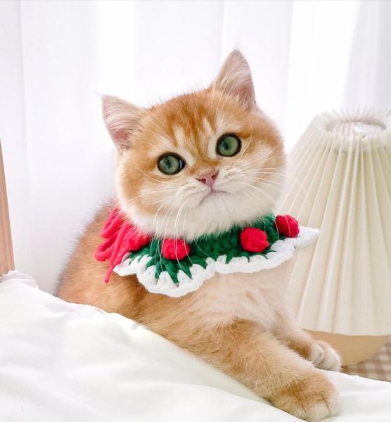 

handmade knitting cat circle collar flowers dog bandana pet supplies costumes