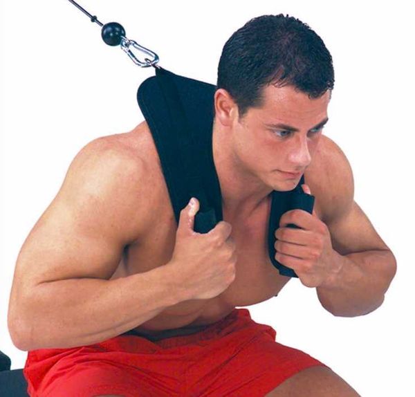 

abdominal muscle straps handles leggings headbands gym matching special nylon pull accessories