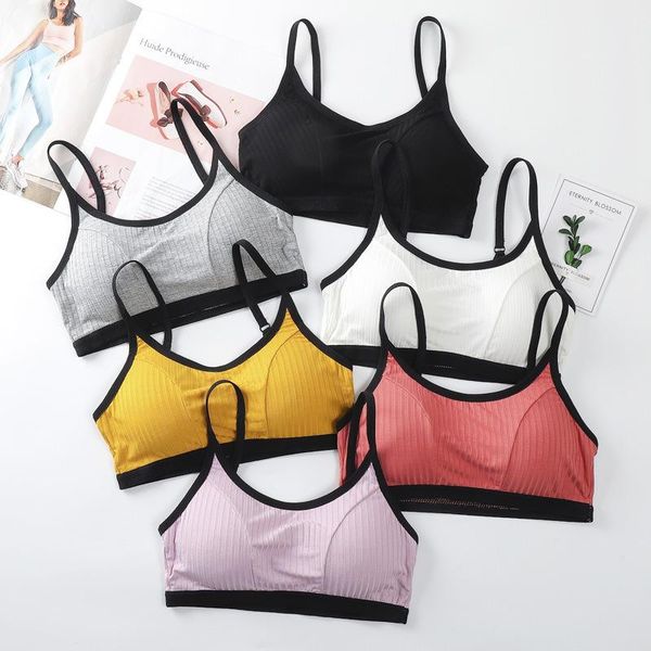 

cotton bra women tupe underwear wireless lingerie padded beautiful back bralette sling crop vest gather chest yoga outfit