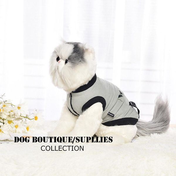 

cat costumes autumn and winter season pet leisure two-legged cotton jacket