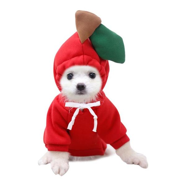 

dog apparel pet hoodie clothes with ringo frog banana shape for cats puppies dogs