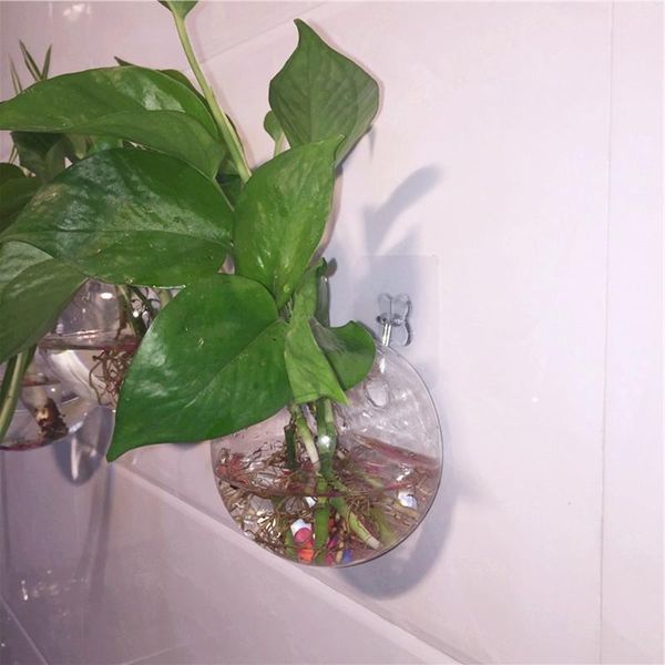 

novelty items 8pcs/pack diameter=12cm middle size wall mounted glass vase home decoration friend birthday gift glasswares