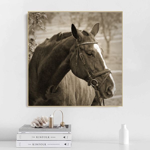 Cartaz do cavalo do vintage Pintura da lona Arte da parede Imagem animal da imagem HD para a decoração do quarto da sala de visitas Cuadros nenhum quadro