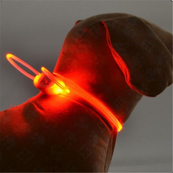 

cat collars & leads luminous collar pet led dog accessories husky
