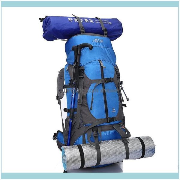 

bags sports & outdoorslarge capacity real 65l outdoor backpack travel multi-purpose climbing backpacks camping hiking rucksacks waterproof s