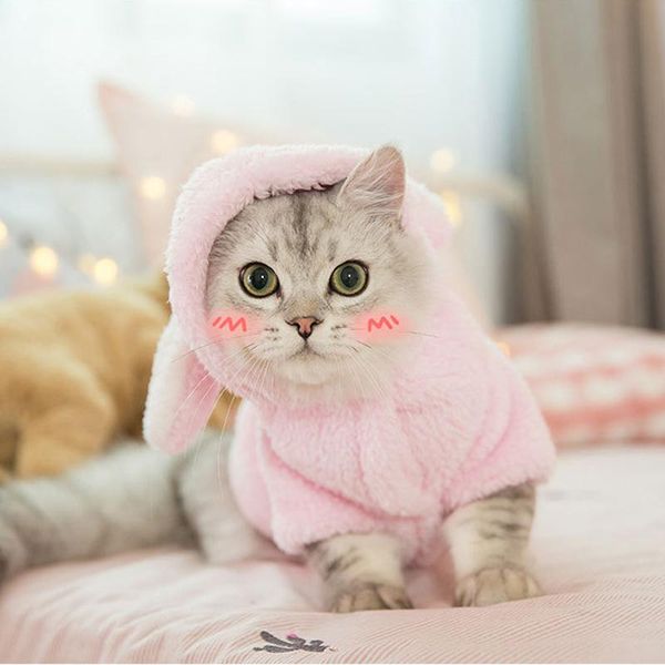

pet clothes for cat clothing winter cats coat jacket pets kitty dog animals outfit costumes
