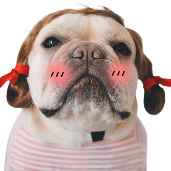

dog apparel cyd- funny cute pet cat costume colorful wig cap hat for halloween christmas clothes fancy dress with ears