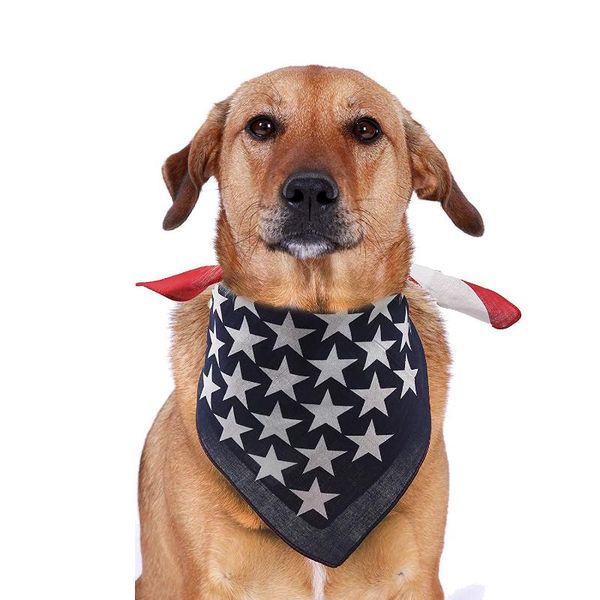 

dog apparel scarf american flag pet supplies love accessories polyester puppy