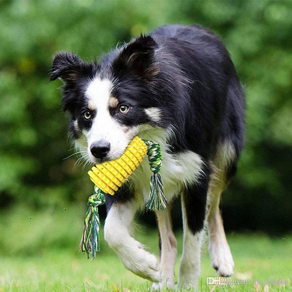 

dog toy corn grinding rod toothbrush pet food dropping ball bite-resistant rod pedigree molar bone dog chew puppy teething gift