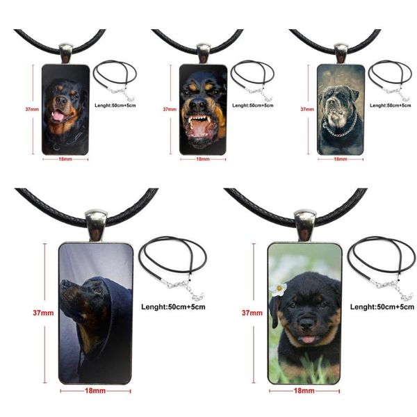 

pendant necklaces rottweiler dog puppies 5 glass galaxy necklace women steel plated jewelry for lovers friendship, Silver