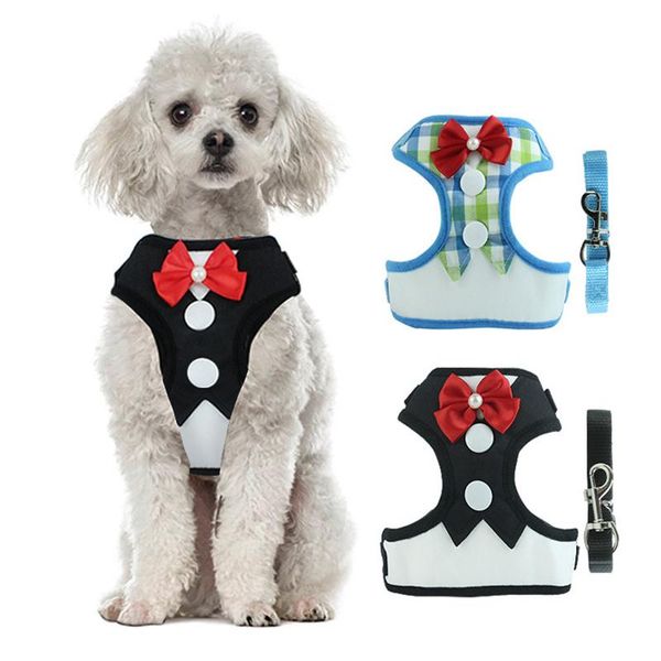 

cute cat harness vest-style walking rope dress 1.2m traction accessories costumes