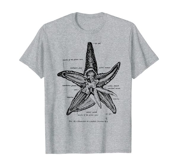 

Vintage Marine Biology Starfish Sea Star Tee T-shirt, Mainly pictures