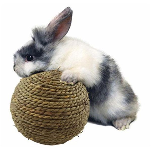 

small animal supplies 4pcs hamster bird parrot animals natural grass chewing bite ball pet molar teeth clean grinding play hand balls