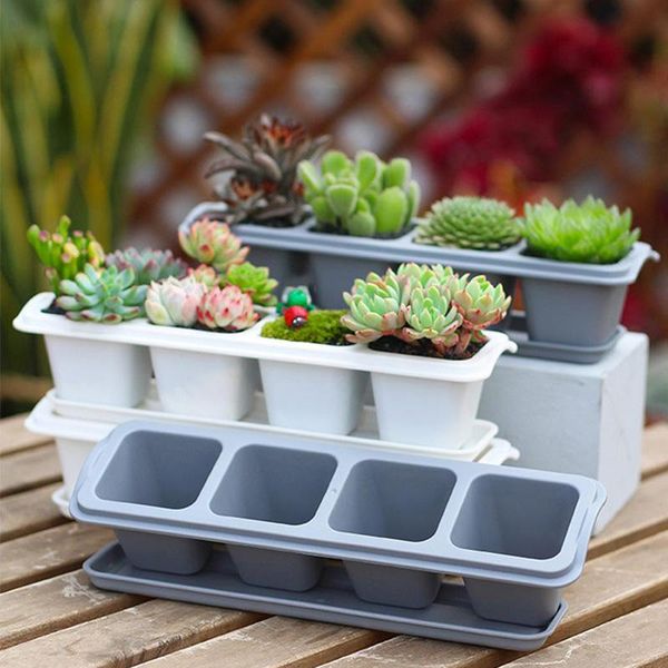 

planters & pots 4/6 grids square plastic succulents planter with tray set,nursery pot cactus plant garden