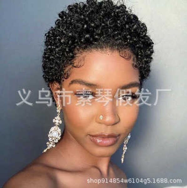 

fashion trend short hair small curly women's wig headset natural color xuchang wigs, Black