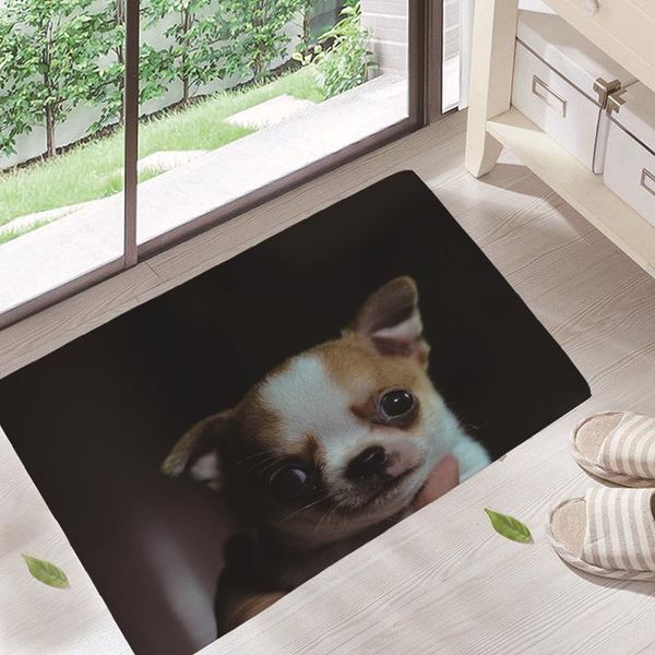 

bath mats kawaii pet baby floor doormats living rooms anti-slip carpet for home balcony bedroom kitchen bathroom rug entrance door mat