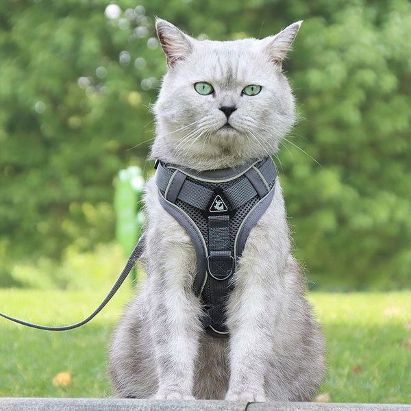 

cat collars & leads anti-break adjustable vest-style harness reflective soft breathable supplies accessories