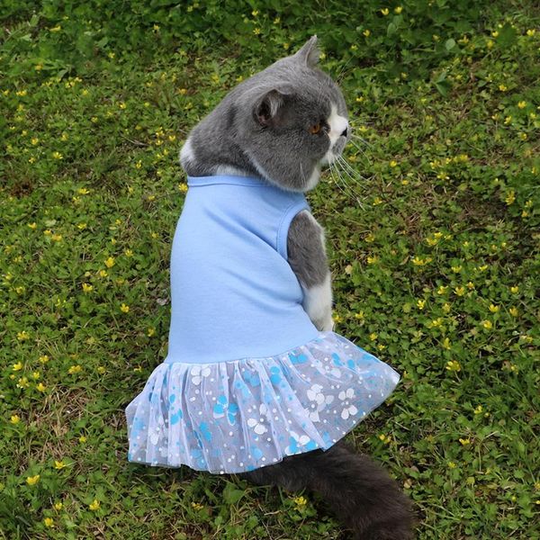 

spring and summer pet clothes dog mesh gauze skirt dress cat costumes