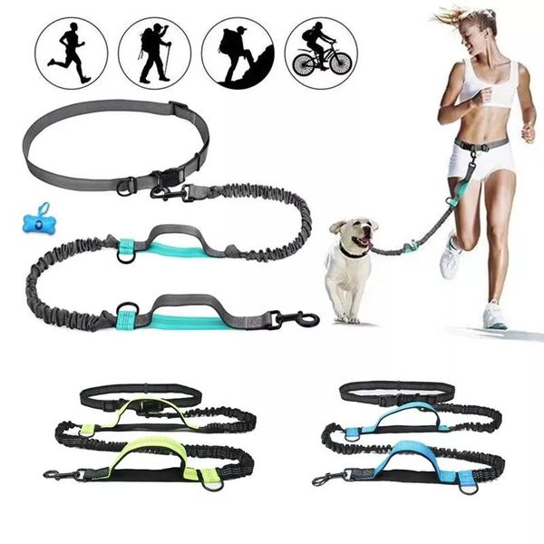 

dog collars & leashes leash retracable dogs set adjustable waist belt for training
