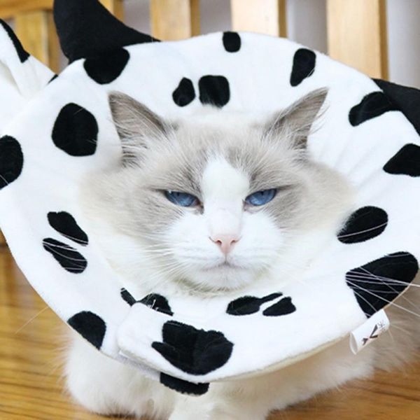 

cat collars & leads cute cow pet elizabethan collar soft cotton dog wound healing e-collar prevent bite neck ring protection